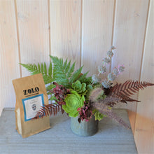 Load image into Gallery viewer, Succulent Gift Set
